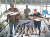 (08/30/2017) - Nice Striped Bass